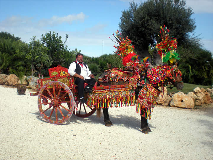 Agriturismo Il Ranch