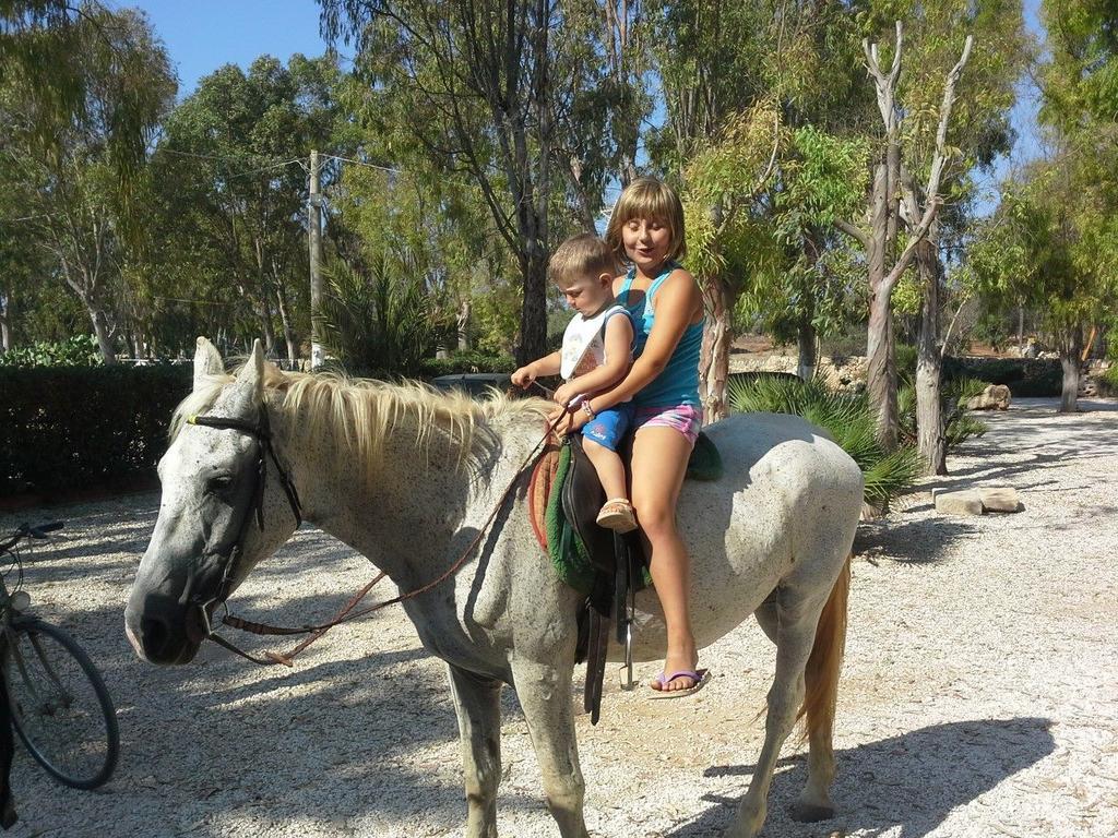 Farm stay Agriturismo Il Ranch