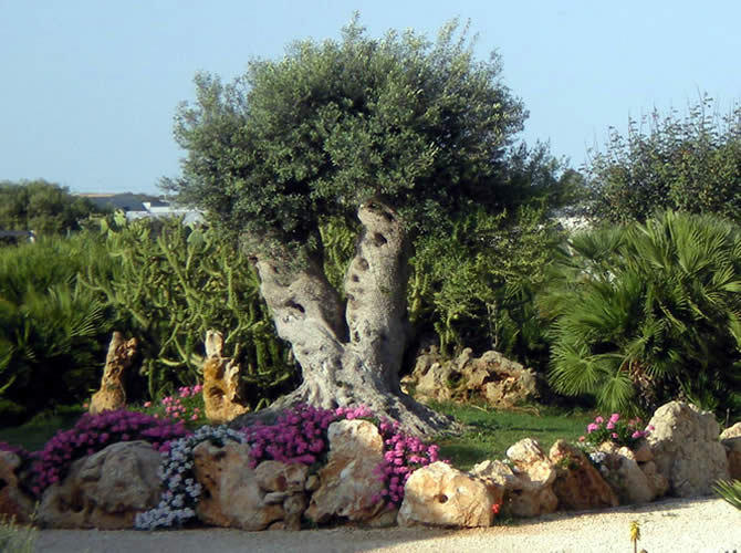 Agriturismo Il Ranch